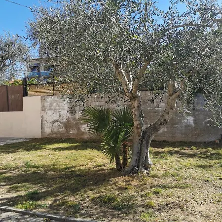 Apartment Caba Gritti